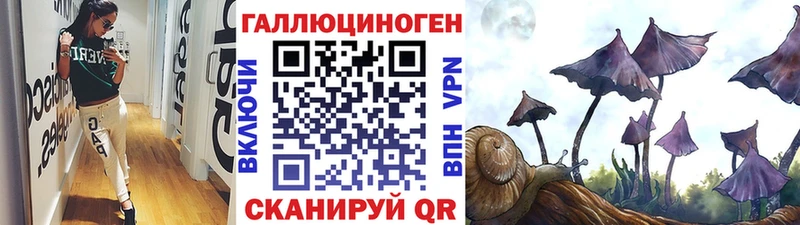 где купить наркотик  Красный Сулин  Галлюциногенные грибы MAGIC MUSHROOMS 
